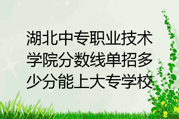 湖北中专职业技术学院分数线单招多少分能上大专学校
