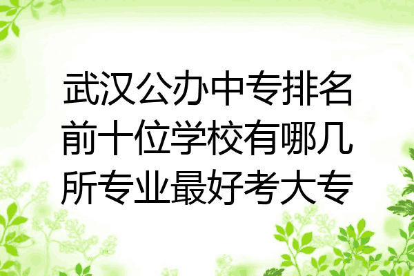 武汉公办中专排名前十位学校有哪几所专业最好考大专