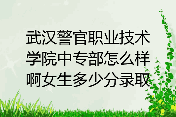 武汉警官职业技术学院中专部怎么样啊女生多少分录取