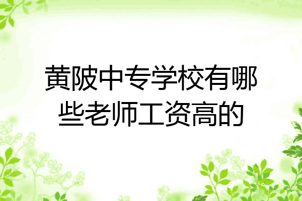 黄陂中专学校有哪些老师工资高的