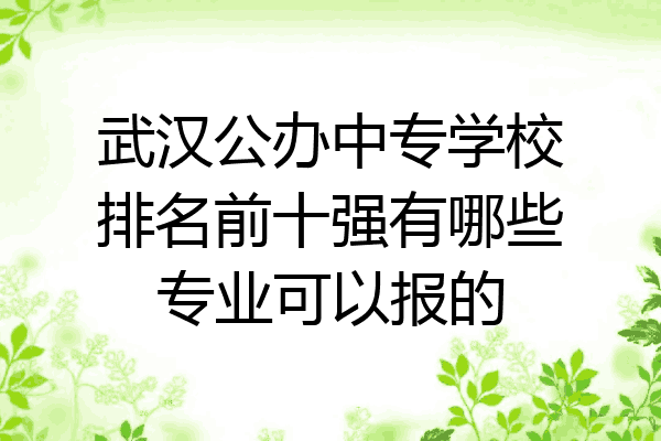 武汉公办中专学校排名前十强有哪些专业可以报的