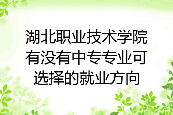 湖北职业技术学院有没有中专专业可选择的就业方向