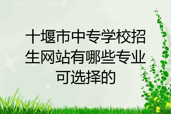 十堰市中专学校招生网站有哪些专业可选择的