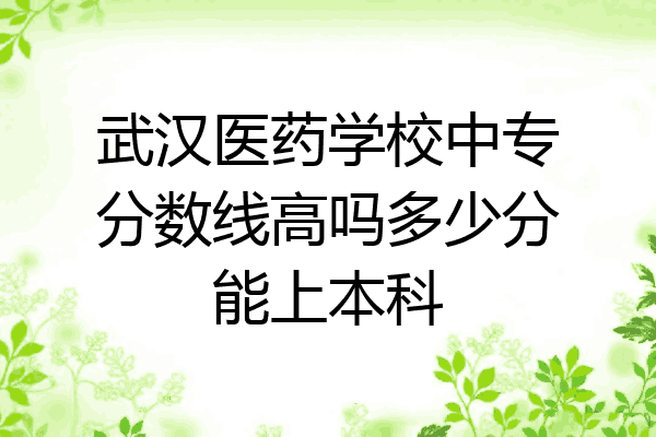 武汉医药学校中专分数线高吗多少分能上本科
