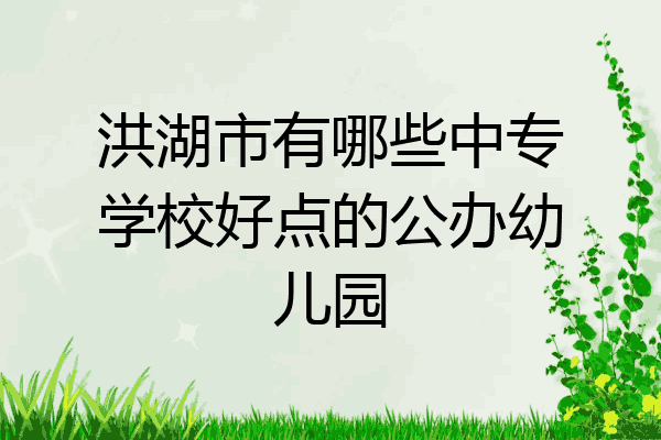 洪湖市有哪些中专学校好点的公办幼儿园
