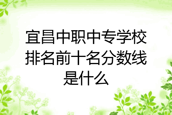 宜昌中职中专学校排名前十名分数线是什么