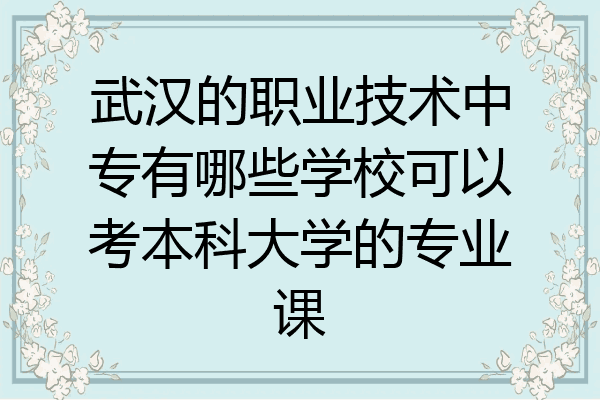 武汉的职业技术中专有哪些学校可以考本科大学的专业课