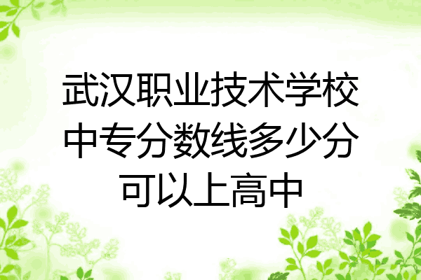 武汉职业技术学校中专分数线多少分可以上高中