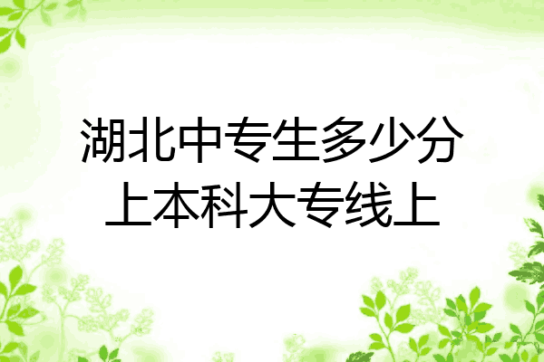 湖北中专生多少分上本科大专线上