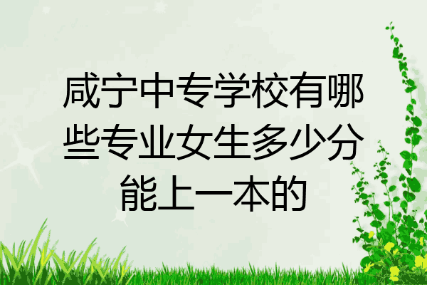 咸宁中专学校有哪些专业女生多少分能上一本的