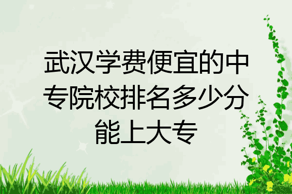 武汉学费便宜的中专院校排名多少分能上大专