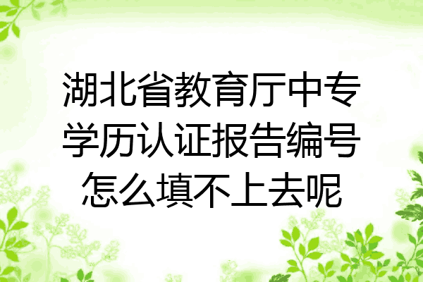 湖北省教育厅中专学历认证报告编号怎么填不上去呢