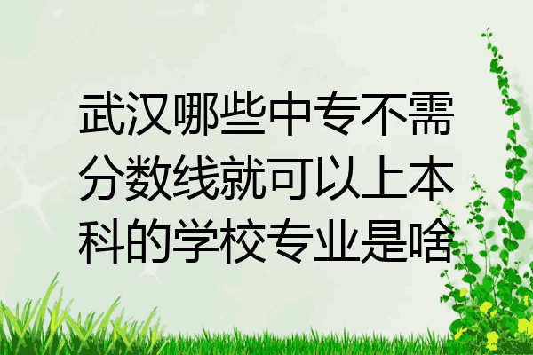 武汉哪些中专不需分数线就可以上本科的学校专业是啥
