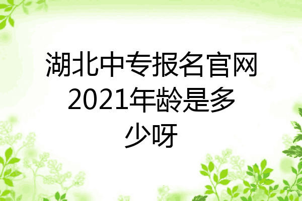 湖北中专报名官网2021年龄是多少呀