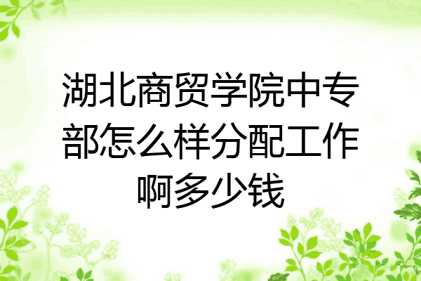 湖北商贸学院中专部怎么样分配工作啊多少钱