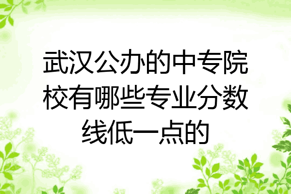 武汉公办的中专院校有哪些专业分数线低一点的
