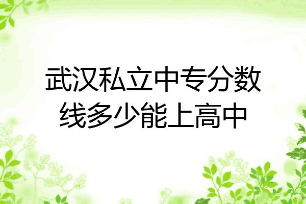 武汉私立中专分数线多少能上高中