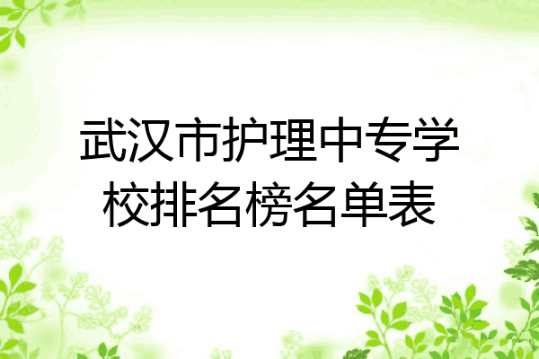 武汉市护理中专学校排名榜名单表