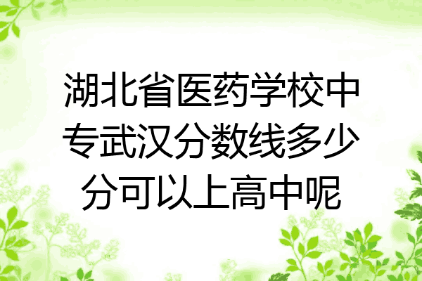 湖北省医药学校中专武汉分数线多少分可以上高中呢