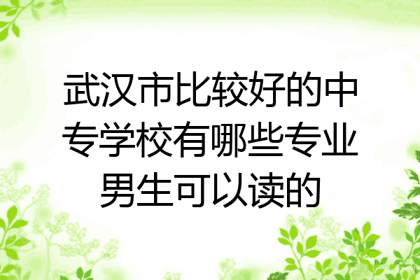 武汉市比较好的中专学校有哪些专业男生可以读的