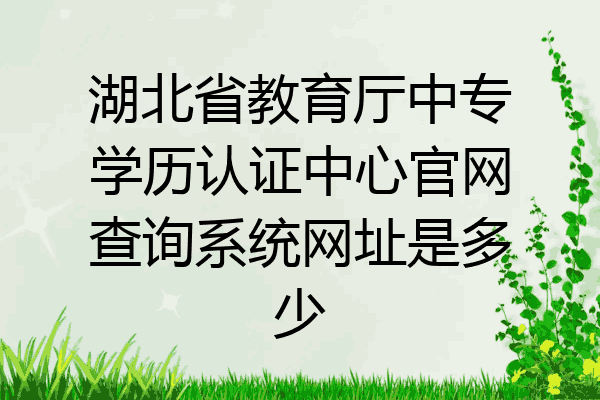 湖北省教育厅中专学历认证中心官网查询系统网址是多少