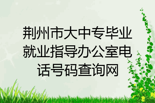 荆州市大中专毕业就业指导办公室电话号码查询网