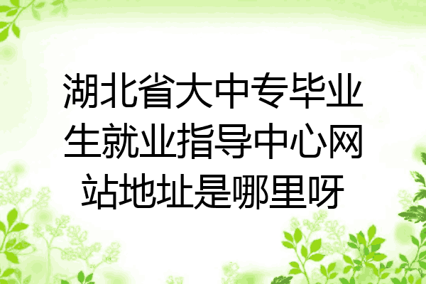 湖北省大中专毕业生就业指导中心网站地址是哪里呀