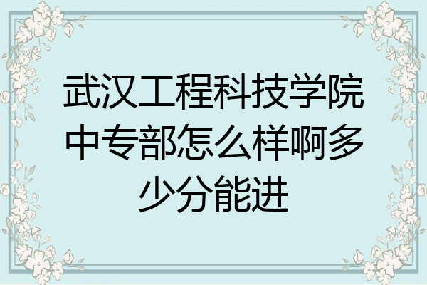 武汉工程科技学院中专部怎么样啊多少分能进