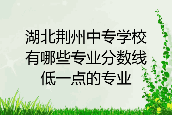 湖北荆州中专学校有哪些专业分数线低一点的专业