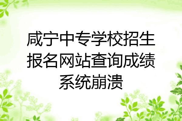 咸宁中专学校招生报名网站查询成绩系统崩溃