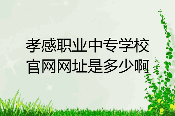 孝感职业中专学校官网网址是多少啊