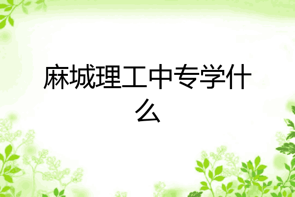 麻城理工中专学什么
