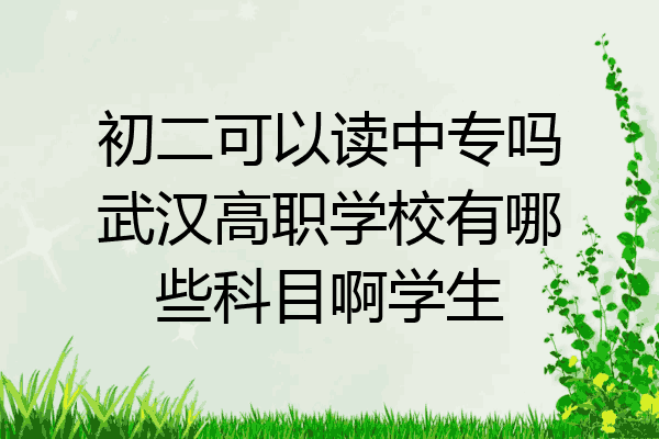 初二可以读中专吗武汉高职学校有哪些科目啊学生