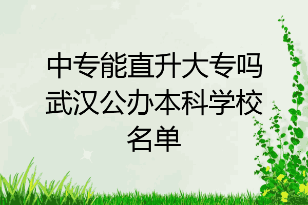中专能直升大专吗武汉公办本科学校名单