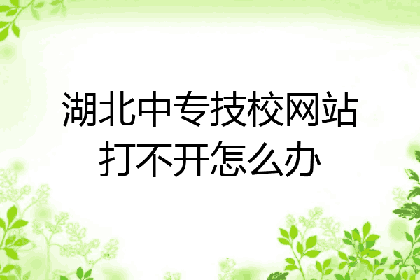 湖北中专技校网站打不开怎么办