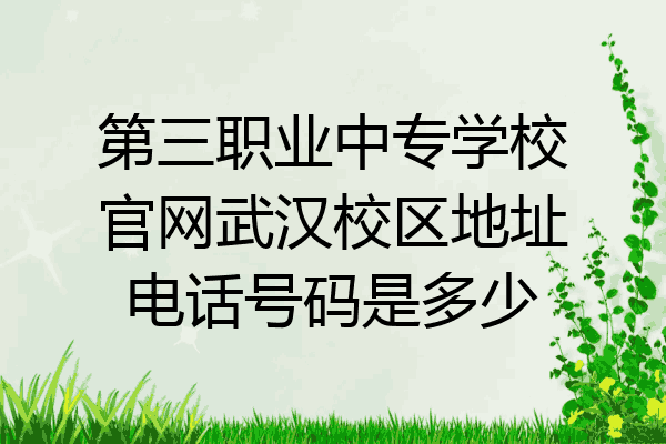 第三职业中专学校官网武汉校区地址电话号码是多少