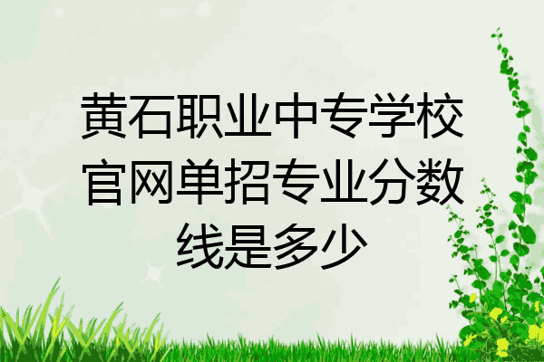 黄石职业中专学校官网单招专业分数线是多少