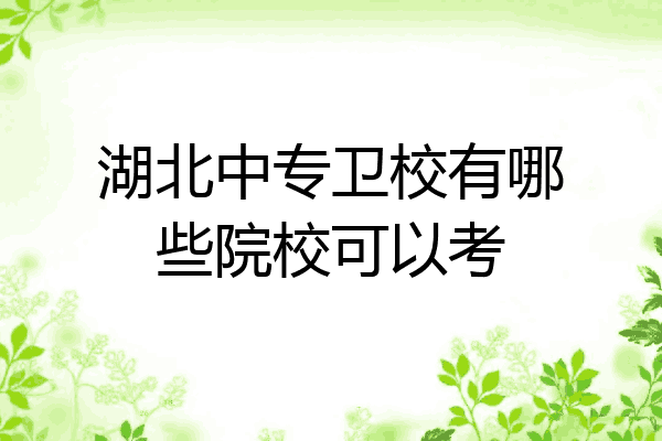 湖北中专卫校有哪些院校可以考