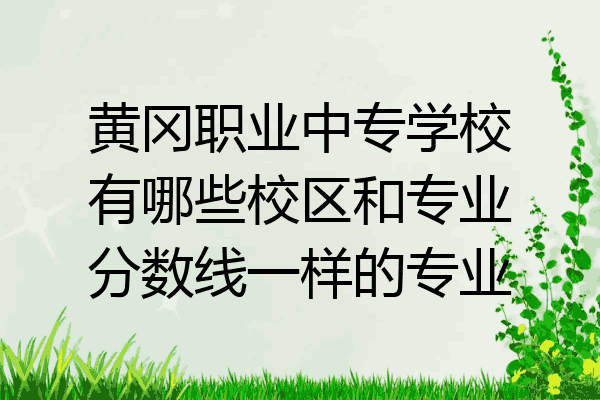 黄冈职业中专学校有哪些校区和专业分数线一样的专业