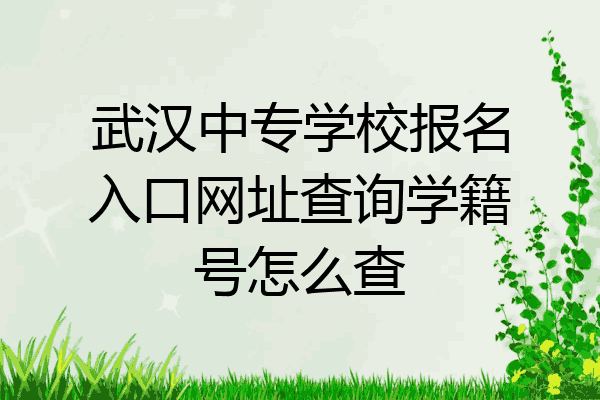 武汉中专学校报名入口网址查询学籍号怎么查