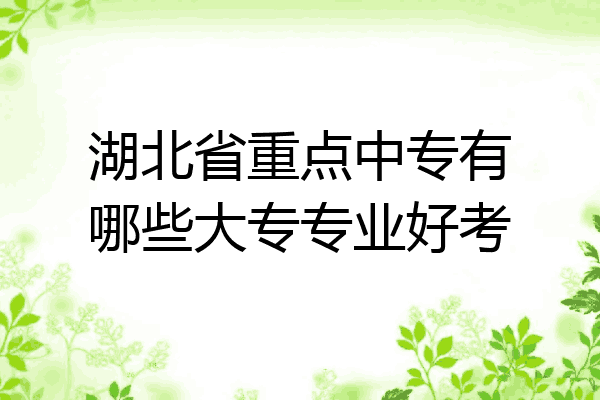 湖北省重点中专有哪些大专专业好考