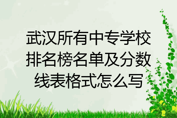 武汉所有中专学校排名榜名单及分数线表格式怎么写