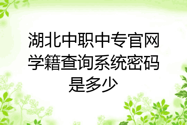 湖北中职中专官网学籍查询系统密码是多少