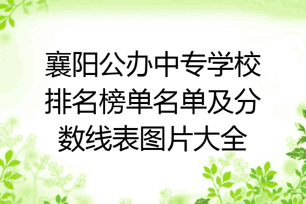 襄阳公办中专学校排名榜单名单及分数线表图片大全
