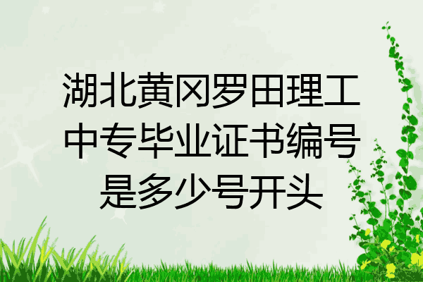 湖北黄冈罗田理工中专毕业证书编号是多少号开头
