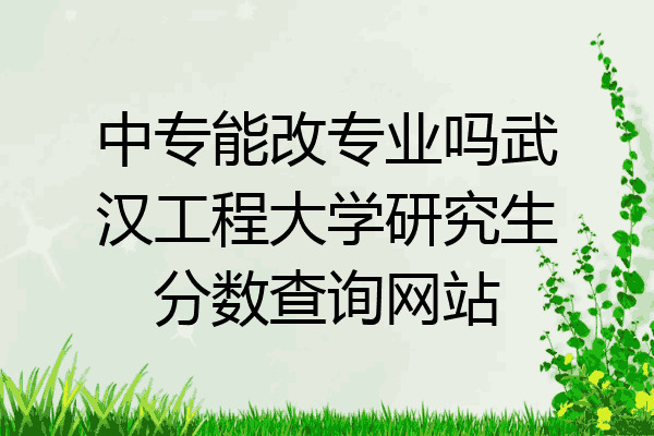 中专能改专业吗武汉工程大学研究生分数查询网站