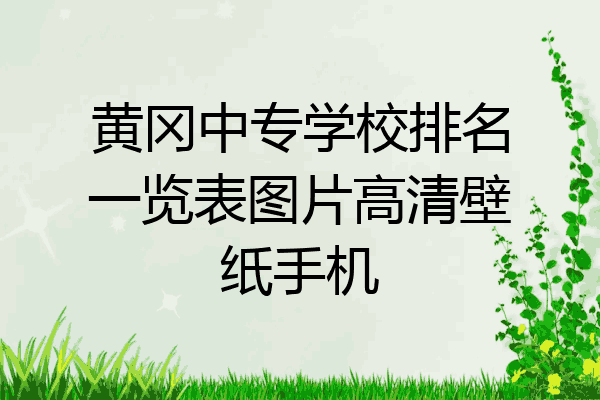 黄冈中专学校排名一览表图片高清壁纸手机