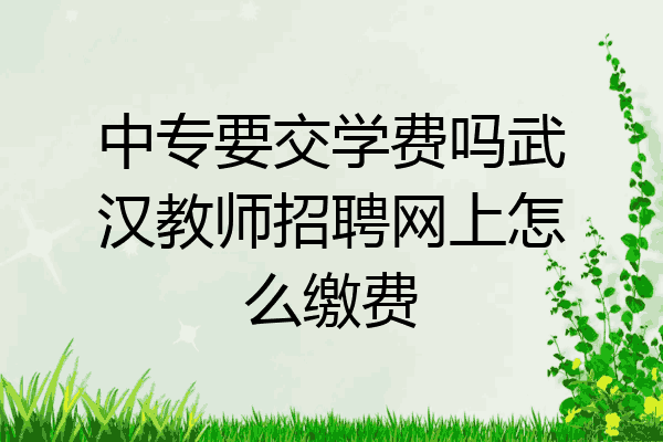 中专要交学费吗武汉教师招聘网上怎么缴费