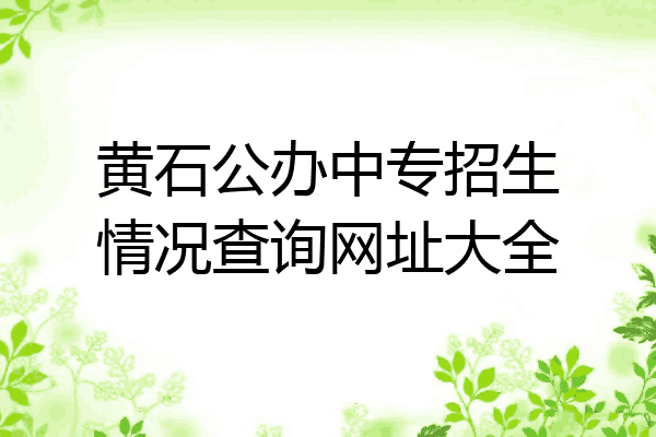 黄石公办中专招生情况查询网址大全
