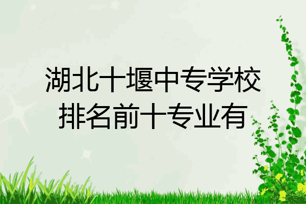 湖北十堰中专学校排名前十专业有